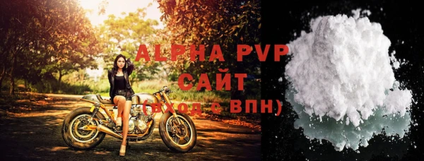 винт Горно-Алтайск