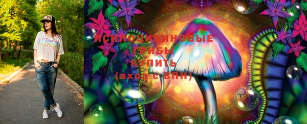 соль ск Горняк