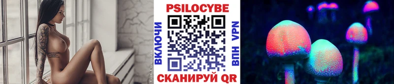 Купить где  Карасук  Псилоцибиновые грибы Psilocybine cubensis 