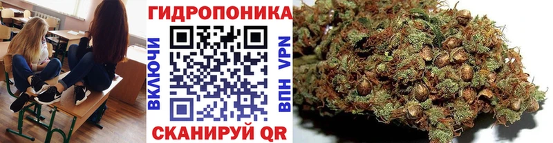 Бошки марихуана гибрид  Купить где  Карасук 